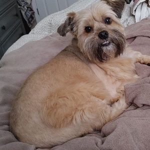 Meet your Posher, Sherry